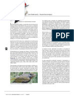 Chablé y Pasos, 2010. Aves de Yucatán. Libro Biodiversidad y desarrollo humano en Yucatán.pdf