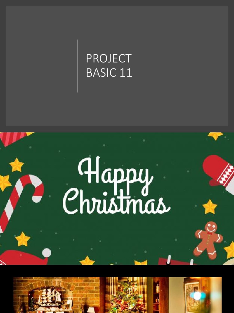 Basic 11 Project Overview | PDF