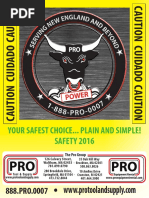 Your Safest Choice... Plain and Simple! SAFETY 2016: The Pro Group