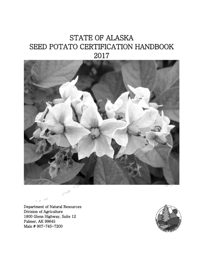 Alaska Seed Potato Guide | PDF | Potato | Plants