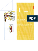 CAP 1 TORAX - Anatomía MOORE Resumen