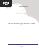 Relatório final do estágio obrigatório - Camila.pdf