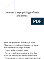 Difference in Physiology of Rods and Cones