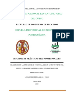 Informe de Practica Pre Profesionales