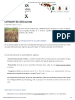 Corrección de suelos salinos « Agrologica – Ingenieria agrícola.pdf