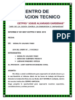 Informe Del Afiche