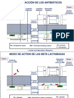 Modo de Acción de Antibioticos