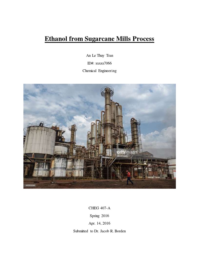 Ethanol Production from Sugarcane Process | PDF | Sugarcane | Sucrose