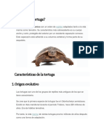 Tortuga