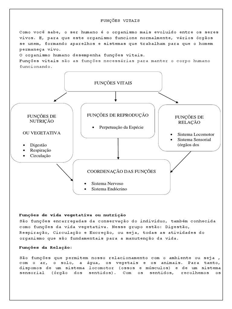 As funções vitais necessárias para manter o corpo humano funcionando ...