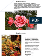 Presentacion_7-Bioelementos.pps