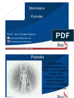 Pulmão: Funções, Pontos e Sinais