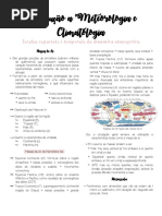 Meteoro - escalas.pdf