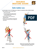 tg06-10_safe_ladder-pdf-en.pdf