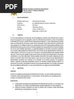 Sílabo de Filosofía de La Mente 2018-2