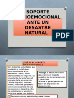 Soporte Socioemocional Ante Un Desastre Natural