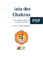 Guia_dos_chakras_-_chakra_esplenico.pdf