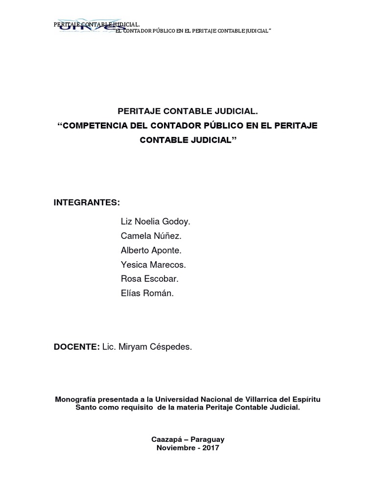peritaje-contable-pdf-testigo-experto-contador