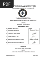 Prospección Minero Sol Naciente