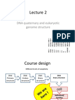 BTN222-L2-DNA and Genome STR-2019.pptx