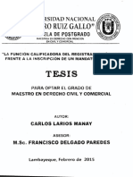 calificacion registral - setencias judiciales tesis.pdf