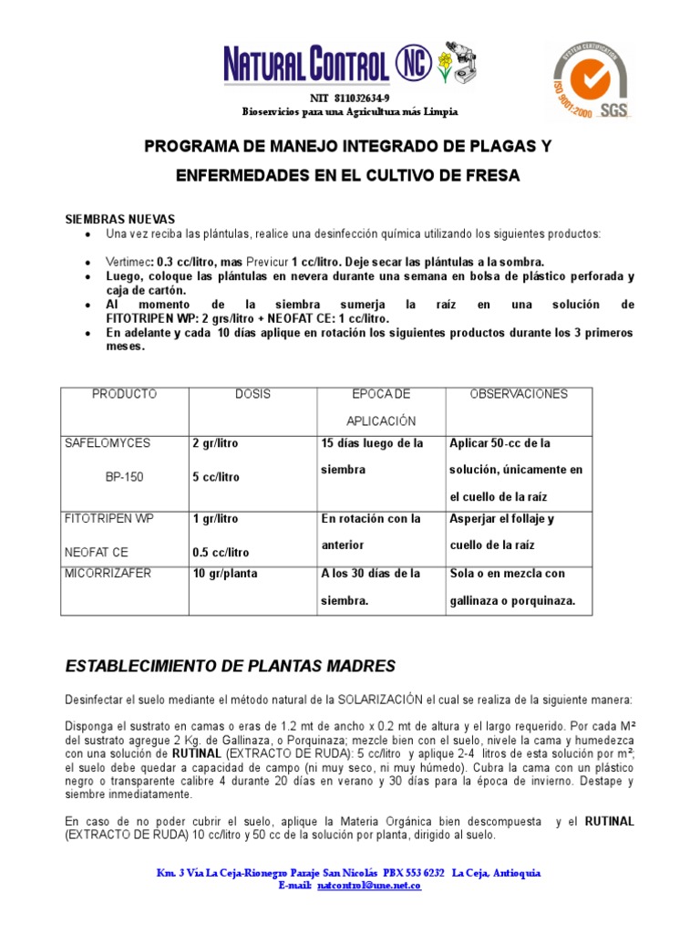 Mipe Fresa | PDF | Agricultura | Naturaleza