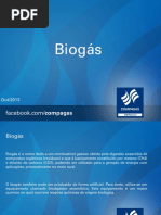 biogasrevisadofinal-131021082350-phpapp01