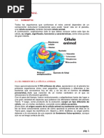 Célula Animal