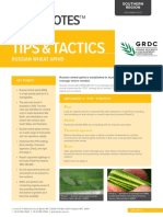 GRDC Tips and Tactics Russian Wheat Aphid