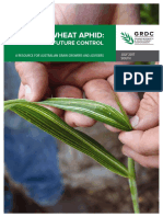 Russian Wheat Aphid Tactics For Future Control
