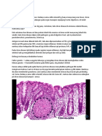 Chron Disease Dan Kolitis Ulseratif