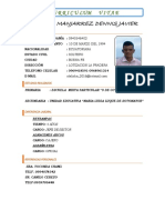 Mendez Manjarrez Dennis Javier: Curriculum Vitae