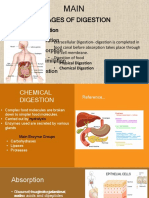 Stages of digestion and nutrient absorption