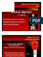 Microsoft PowerPoint - Aula 04 - Medula Espinhal 1 Parte 2012.Ppt (Modo de Compatibilidade)