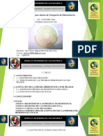 5. Informe Final Pruebas Hidrostáticas.pptx