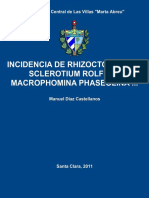 Incidencia de Rhizotonia Sclerotium