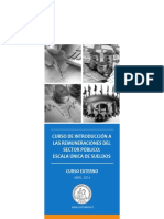 Manual Introducción A Las Remuneraciones 2014 - CGR PDF