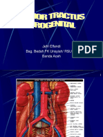 Kul-Tumor Traktus Urogenital