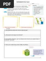 Experimento Del Tallo