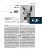 VicuniaAndes.pdf