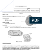 GUIA 8vo - CCNN - La Célula