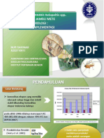Helopeltis PDF