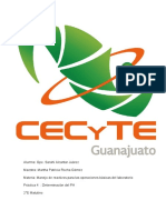 Practica de PH PDF