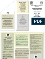 Triptico Tutores PIT Individuales PDF