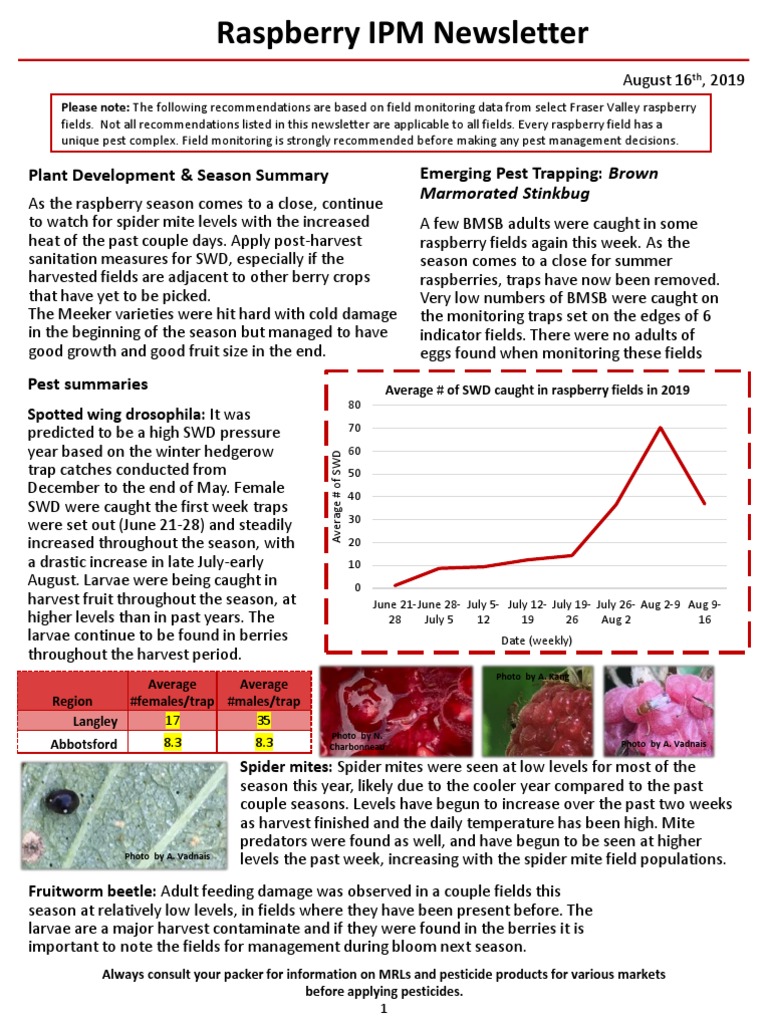 Raspberry IPM Newsletter - August 16, 2019 | PDF | Raspberry ...