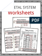 Skeletal System: Worksheets