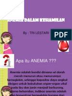 Anemiadalamkehamilan 130410101113 Phpapp02