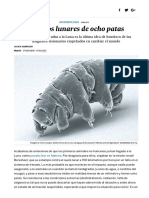 Tardígrados- Colonos lunares de ocho patas - Ciencia - EL PAÍS.pdf