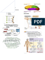 Anatomy and Physiology (Nervous System)