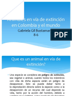 Animales en Vía de Extinción en Colombia Gaby GB
